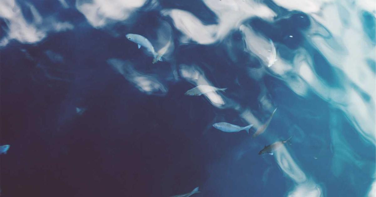 What Big Tech Won’t Tell You: Why Agentic AI Will Replace Traditional IT Ops